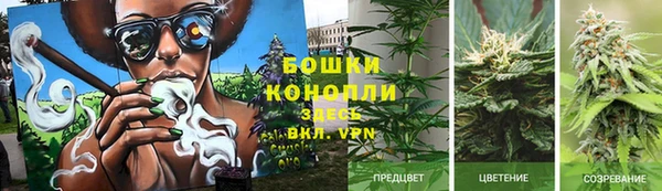 прущая мука Богородск